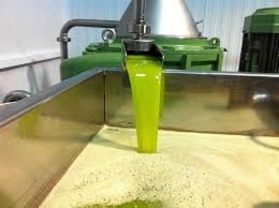 Italia compra 71,8% de aceite de oliva exportado por Almería hasta septiembre  