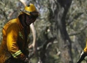 El incendio de un olivar en Alpujarra de la Sierra moviliza a más de 100 efectivos de Infoca
