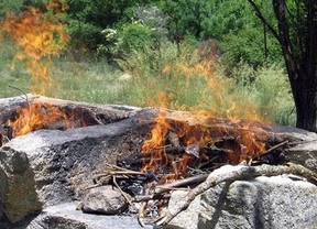 Medio Ambiente prohíbe realizar barbacoas y quemas agrícolas en zonas forestales durante la época de peligro alto de incendio