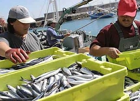 El Rey de Marruecos anuncia a Felipe VI que ha ratificado el acuerdo de pesca con la UE