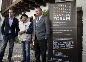 'Flamenco Fórum' retoma este lunes su programación de conferencias para divulgar el cante jondo