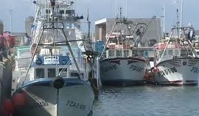 La Eurocámara aprueba el acuerdo de pesca entre la UE y Marruecos  