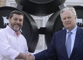 El toro de Osborne "más grande de la historia" ya está en construcción