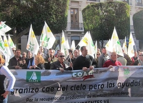 Protesta en Almería por la "inacción" de Junta y Gobierno para ayudar a afectados por granizo