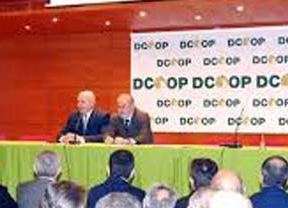 Dcoop, tras el rechazo de Bankia para ampliar Deoleo, ve que 'tiene poco sentido seguir en la compañía'