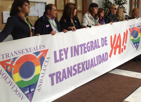 Salud abordará con PSOE-A e IULV-CA el inicio de la tramitación de la ley de transexualidad  