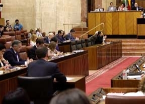 PP-A y PSOE-A rechazan tramitar la reforma de la Ley Electoral de UPyD