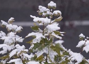 Almería, Cádiz, Huelva, Granada, Jaén y Málaga, en alerta este jueves por nevadas, viento y fenómenos costeros