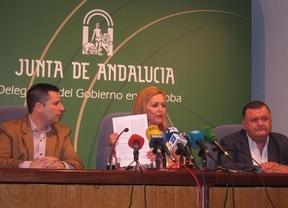 Junta: Fue el Gobierno de Aznar quien subvencionó el hotel del Algarrobico