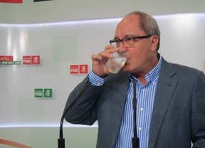 PSOE-A: Alaya 'daña gravemente' la imagen del partido