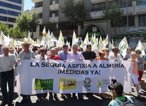 Piden "tomar en serio" la "amenaza" de sequía extrema en Almería