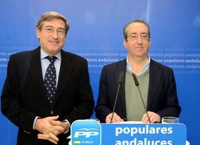 El PP-A duda de que Díaz convoque elecciones anticipadas porque 'aguantará hasta que sea conocida' en Andalucía