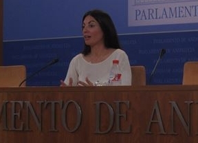 El PP-A duda de que se apruebe la ley de Renta Básica en esta legislatura por el 'teatrillo para perder tiempo' de la Junta