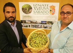 La Fiesta de la Uva Moscatel de Iznate ofrecerá a los visitantes más de 3.500 kilos de esta fruta