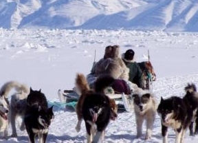 Un aventurero malagueño recorrerá el Ártico en un trineo de perros