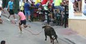 Carcabuey celebra este sábado el primer Toro de Cuerda por las Fiestas de la Aurora