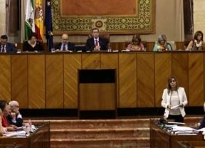 El PP-A pide suprimir las indemnizaciones por participación en el Consejo de Administración del SAE y el CES, entre otros