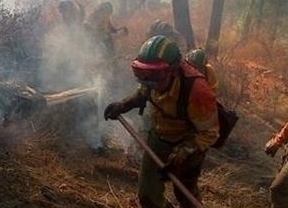 El incendio de los Montes de Málaga afecta a unas 260 hectáreas