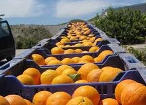 Andalucía exporta más de 6 millones de toneladas de productos agroalimentarios hasta noviembre de 2014
