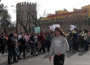 El Sindicato de Estudiantes inicia desde este martes una huelga de tres días, con manifestaciones en Cádiz, Granada, Málaga y Sevilla