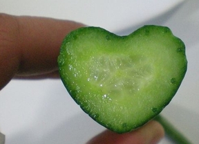 Tecnova cultivará pepinos con forma de corazón ante el acuerdo con la ginebra Hendrick's