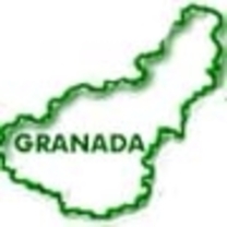 El PSOE gana las elecciones en la Granada con cerca de siete puntos de ventaja sobre el PP