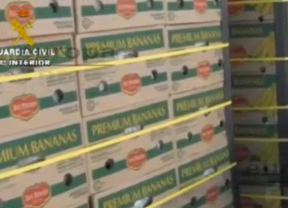 Intervenidos 54 kilos de cocaína en un cargamento de plátanos