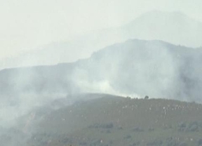 Infoca da por estabilizado el incendio forestal en Algeciras