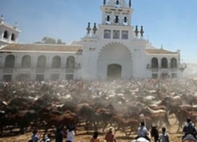 Almonte acoge este jueves la tradición ancestral de la Saca de las Yeguas, que cumple 510 años