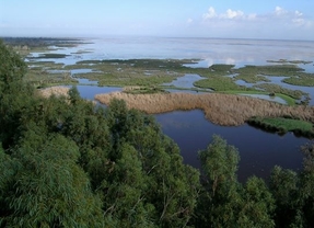 La Unesco valida el informe que alerta del impacto del dragado y Aznalcóllar en Doñana