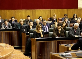 El Parlamento andaluz pide la "retirada inmediata" de la reforma del aborto