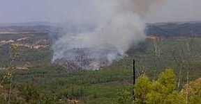 Estabilizado el incendio forestal de Almonaster