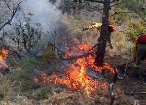 Fallos en la red eléctrica causaron los incendios en Sierra de Gádor y Lucainena