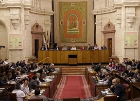 El Parlamento contará con 54 'caras' nuevas en la IX legislatura