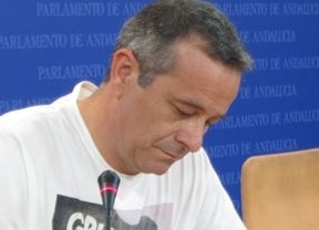 PSOE e IU acuerdan adelantar la creación del grupo de trabajo sobre la reforma electoral a este periodo de sesiones