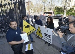 WWF lleva 11.000 firmas a San Telmo contra el almacén de gas en Doñana