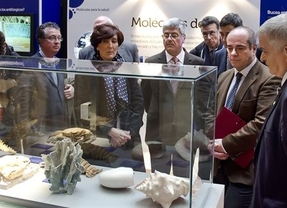 La Casa de la Ciencia acoge hasta el mes de agosto la exposición 'Moléculas de la vida'