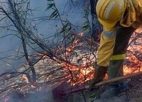 Extinguido el incendio forestal declarado en Cartaya