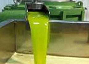 Asaja anuncia la subida de los precios del aceite de oliva en una campaña que terminará sin stock de enlace