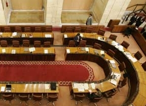 El Parlamento estrenará esta semana el escaño 110