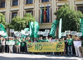 Casi 2.000 personas, convocadas por CSIF, protestan por el "recorte" a las pagas extra de 2014 de los empleados públicos