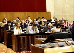 El Parlamento andaluz cifra en 292.244 euros el presupuesto por cada diputado autonómico