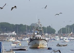 Salen a faenar a Marruecos los primeros pescadores tras la entrega de algunas licencias