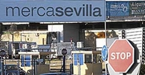 Alaya ordena investigar dos cheques de Mercasevilla por 97.922 euros