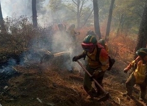 Controlado el incendio forestal en los Montes de Málaga