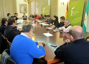 'Rechazo unánime' del Consejo Provincial del Aceite a la 'exclusión' del olivar de los pagos asociados de la PAC