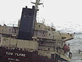 El Parlamento Europeo al rescate del 'New Flame'