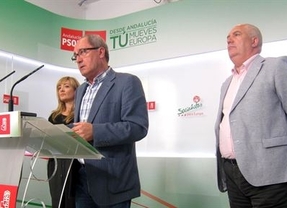 PSOE-A, UGT-A y CCOO-A llaman a las urnas para frenar las "políticas de la derecha"