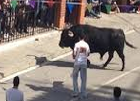 Arcos, Benamahoma, Los Barrios, Paterna y Vejer celebrarán con toros el Domingo de Resurrección