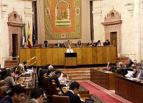 Los diputados del Parlamento andaluz cobrarán durante 2013 un mínimo de 3.820 euros al mes